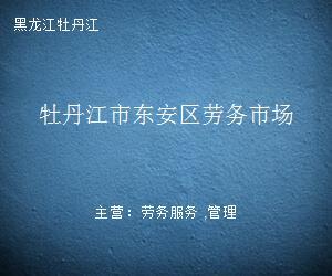 牡丹江市东安区劳务市场与职业中介发展现状探析
