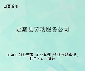 定襄县劳动服务公司 打造专业化职业中介服务，助力地方就业与人才发展