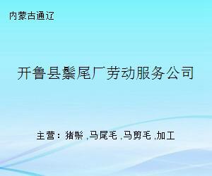 开鲁县鬃尾厂劳动服务公司 搭建专业桥梁，促进高质量就业